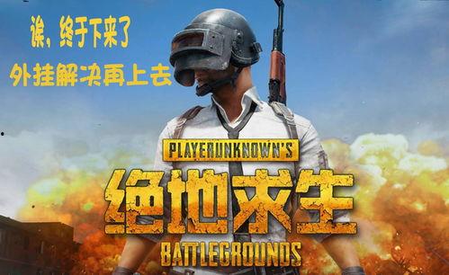 查查瓜吃鸡小视频,趣味横生的欢乐时光