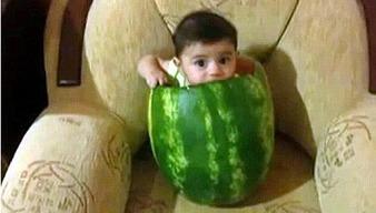 带你吃瓜的天热视频,跟着“带你吃瓜”视频感受清凉一夏