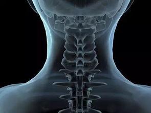 颈椎病人可吃矮瓜吗视频,颈椎患者适宜食用矮瓜的饮食建议