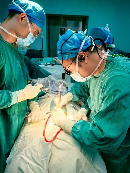 颈椎病人可吃矮瓜吗视频,颈椎患者适宜食用矮瓜的饮食建议