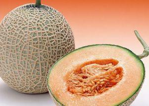 泡芙吃哈密瓜视频,一场视觉与味蕾的双重盛宴