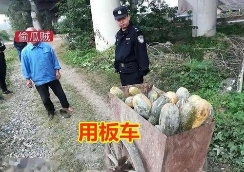 康县女子吃瓜事件视频,一场引发热议的网络风波