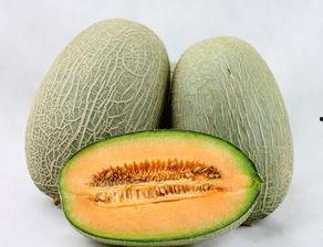 蝌蚪吃哈密瓜视频,蝌蚪品尝哈密瓜的趣味瞬间