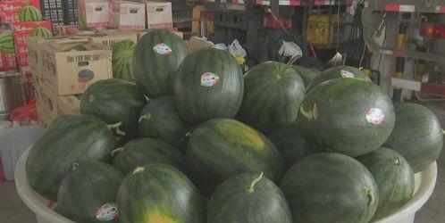 吃瓜福利干货视频,视频带你轻松解锁美食世界