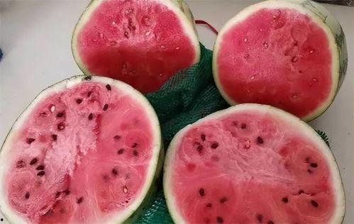 吃麒麟瓜过瘾视频,一尝成瘾的视觉盛宴