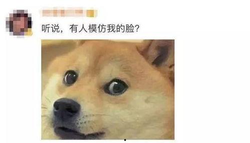 狗头罗丽吃瓜视频,揭秘娱乐圈幕后真相