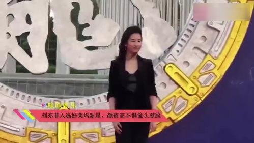 程哥吃瓜群众视频,揭秘娱乐圈幕后故事