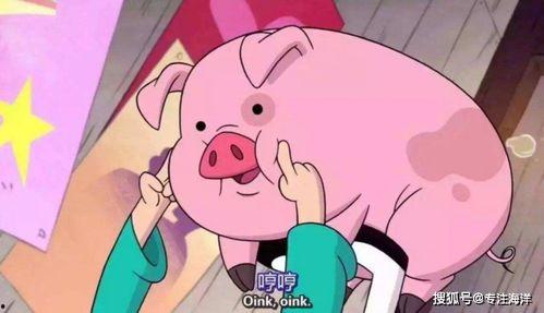 吃瓜少女猪猪解说视频,猪猪吃瓜少女带你领略解说视频魅力