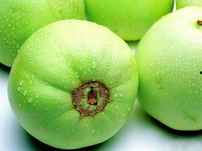 梨瓜变红了还可以吃吗视频,揭秘食用安全与口感变化