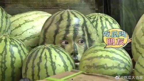 王鹤棣综艺吃瓜视频,笑料百出引网友热议