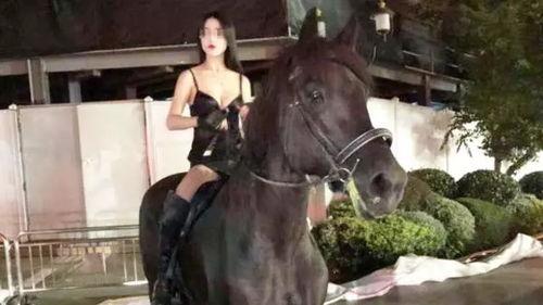 詹娜骑马吃瓜视频大全,趣味横生视频大盘点