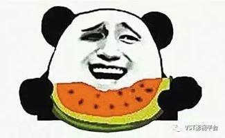 街霸 吃瓜群众视频,揭秘游戏背后的精彩故事