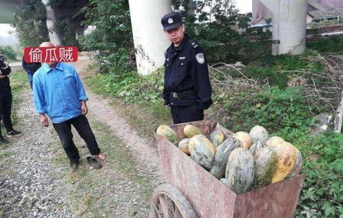 盐山吃瓜事件视频大全最新,视频大全揭秘惊人真相