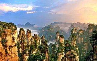 张家界吃瓜事件视频在线观看,揭秘网络热议背后的真相