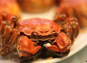 尼加拉瓜吃大螃蟹视频大全,视频大全带你领略异国美食风情