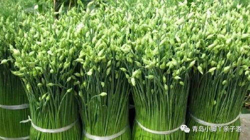 韭菜哥吃瓜视频文案图片,揭秘娱乐圈幕后真相