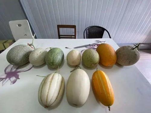 杭州吃瓜视频,揭秘网红美食背后的故事