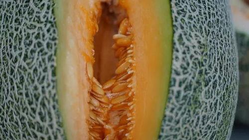 吃脆瓜不吐籽吗视频解说,吃脆瓜真的不吐籽吗？