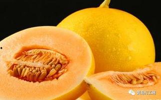 蜜瓜怎么吃方便减肥呢视频,轻松享“瘦”的夏日美味选择