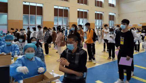 徽县吃瓜事件视频最新消息,真相大白，官方通报出炉