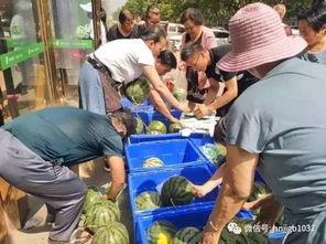 青州幼儿园吃瓜事件视频,幼儿被喂食不明瓜果引发关注