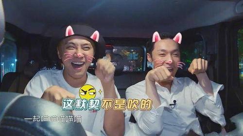 罗志翔吃瓜搞笑视频合集,笑料横生，欢乐无限