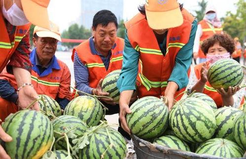 临沂吃瓜视频完整,揭秘当地特色美食与民间风情
