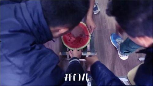 搞笑视频吃瓜搞笑段子大全,搞笑视频与段子盛宴