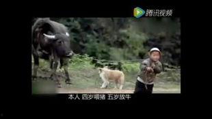 搞笑视频吃瓜搞笑段子大全,搞笑视频与段子盛宴