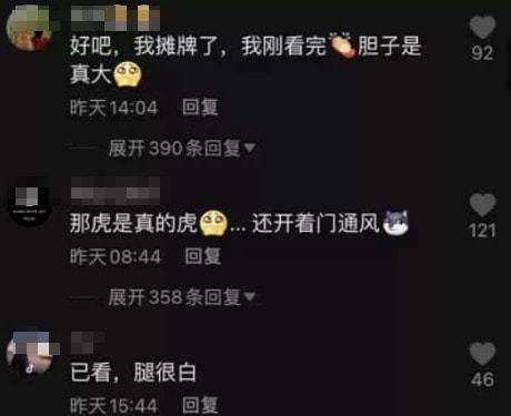 厦门直播伤人吃瓜视频播放,网络暴力下的悲剧瞬间