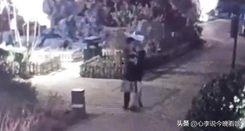 宋爸大型吃瓜完整视频,揭秘娱乐圈幕后真相