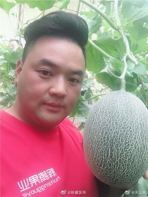 日本主播吃哈密瓜视频,甜蜜滋味引发网友热议