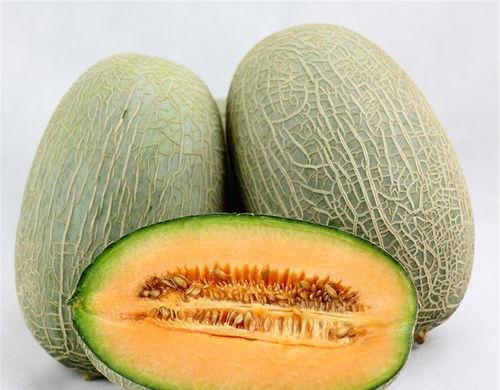 日本主播吃哈密瓜视频,甜蜜滋味引发网友热议