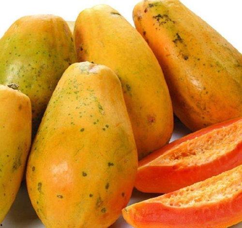 细胞里吃瓜的视频,微观视角下的生命奇观