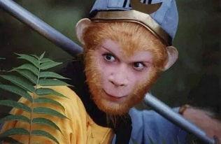 孙悟空吃哈密瓜广告视频