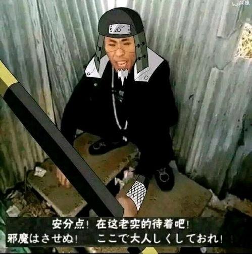 吃瓜领袖视频,短视频背后的网络现象与影响力