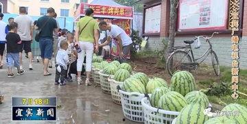 成都沙河吃瓜视频,街头美食盛宴，民众围观打卡