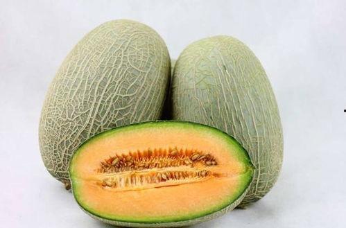 三大爷吃哈密瓜视频,甜蜜滋味，回忆满满