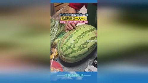 吃瓜西瓜视频搞笑,西瓜视频里的欢乐盛宴