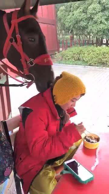 女儿的小棉袄吃瓜视频