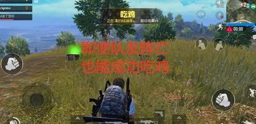 捉战龙吃瓜视频,揭秘神秘龙族与欢乐互动的奇幻之旅