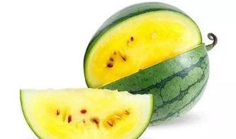 夏乐瓜好吃吗怎么吃的视频,视频揭秘独特吃法