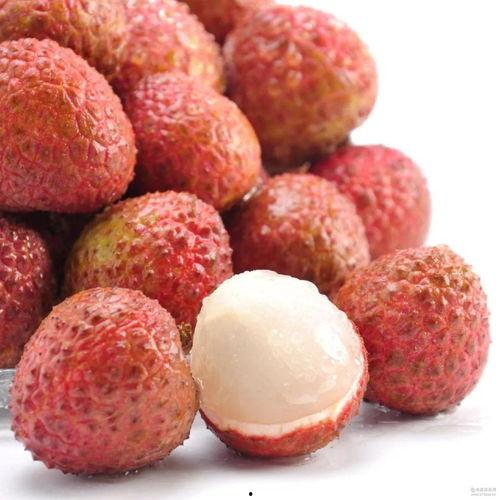 吃瓜少女爱荔枝视频,吃瓜少女的甜蜜冒险