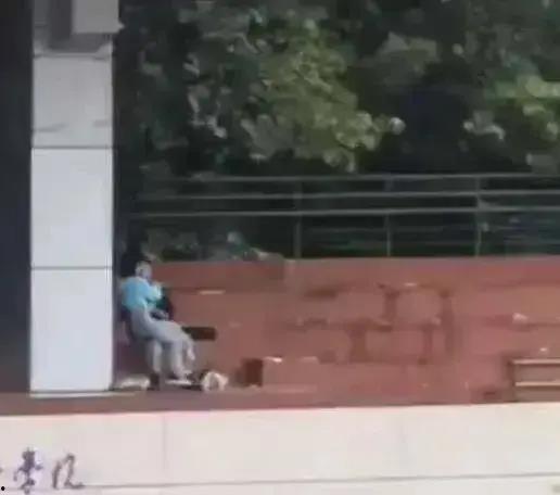 天台新城吃瓜事件视频,一场网络热议的真相揭秘