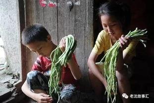 越南姐弟吃瓜视频大全在线观看,揭秘网络热传的趣味瞬间