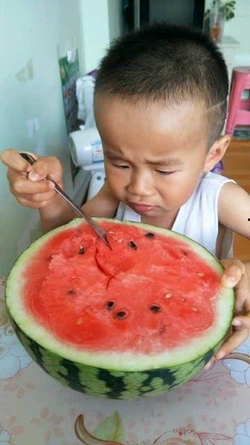 吃瓜种瓜难视频,揭秘娱乐圈幕后真相