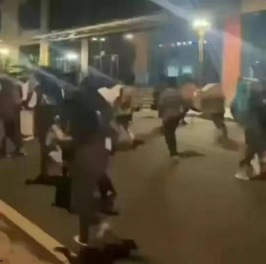 四川大学吃瓜视频,揭秘校园生活趣味瞬间