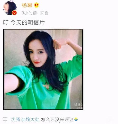 吃瓜杨幂视频大全集在线观看