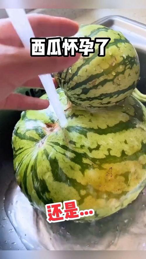 吃葫芦瓜搞笑配音视频,笑料百出，欢乐无限