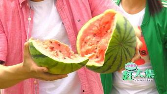 锦华观芷吃瓜的视频,揭秘娱乐圈幕后故事